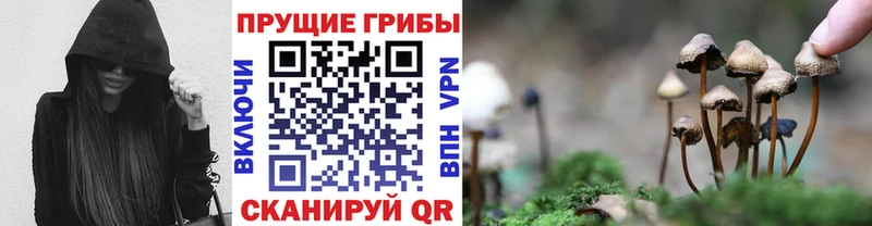 Купить закладки  Неман  Псилоцибиновые грибы ЛСД 